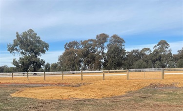 Equestrian Arena 4