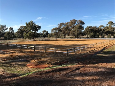 Equestrian Arena 6