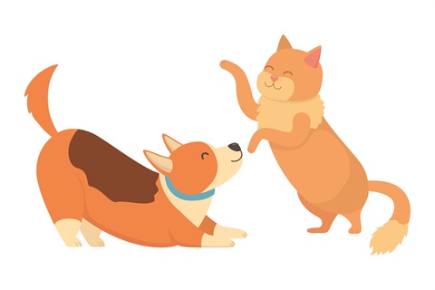 Have your say on Domestic Animal Management Moira Shire Have your say on Domestic Animal Management Moira Shire