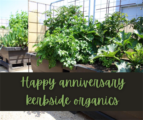 Kerbside Organics Anniversary 1.png