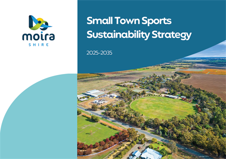Cover - Small Towns Sport Sustainability Strategy.png
