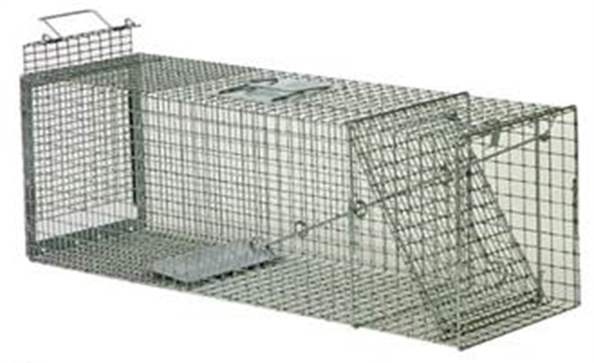 Cat Trap Hire Moira Shire