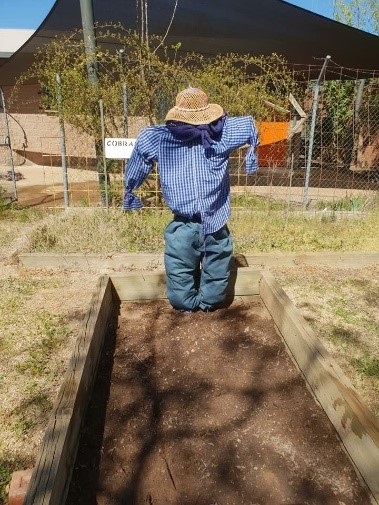 Community gardens.jpg