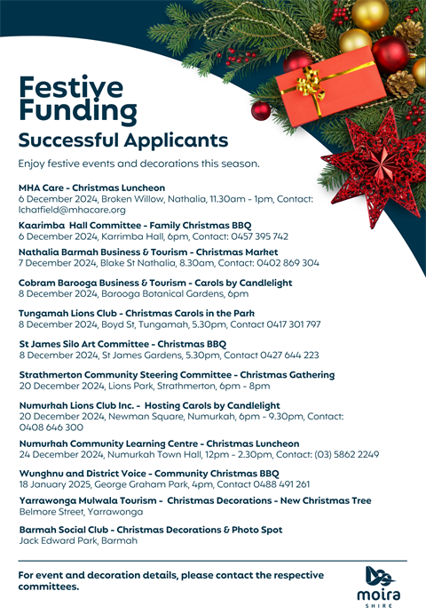 Festive Funding- Flyer UPDATED.png