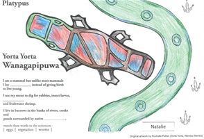 Platypus pic