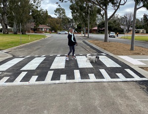 Pedestrian with dog using new Tunnock Road wombat crossing