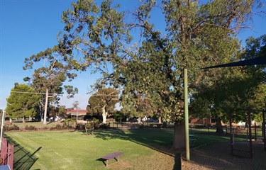 Mivo Park Playground