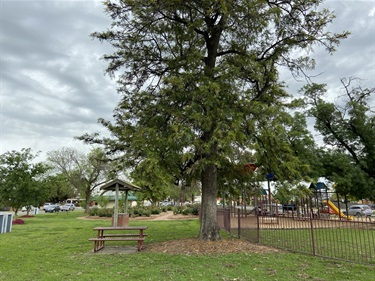 Mivo Park Playground