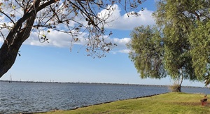 Yarrawonga-Rowing-Club.jpg