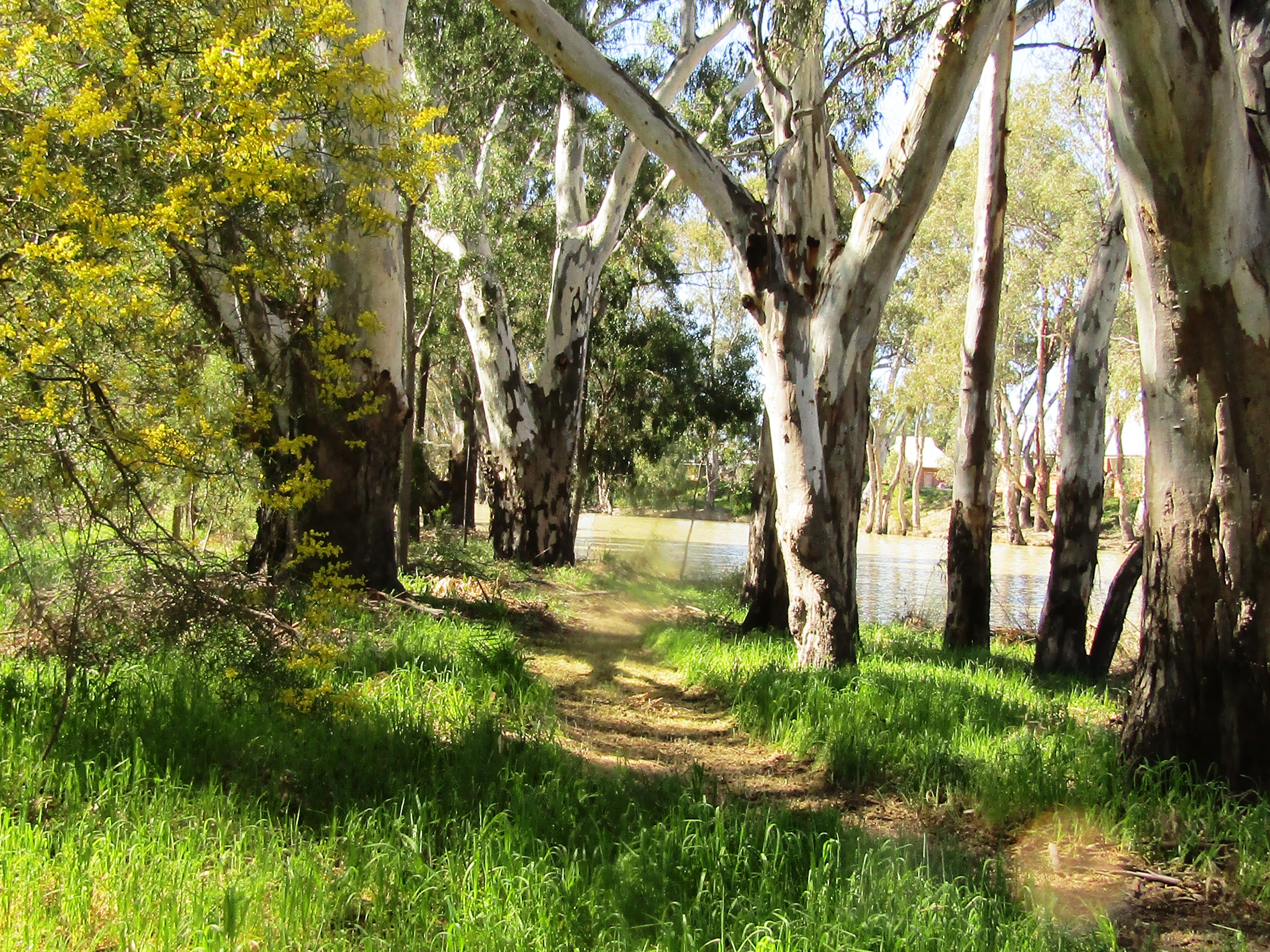 Nathalia Botanical Walk LL.JPG