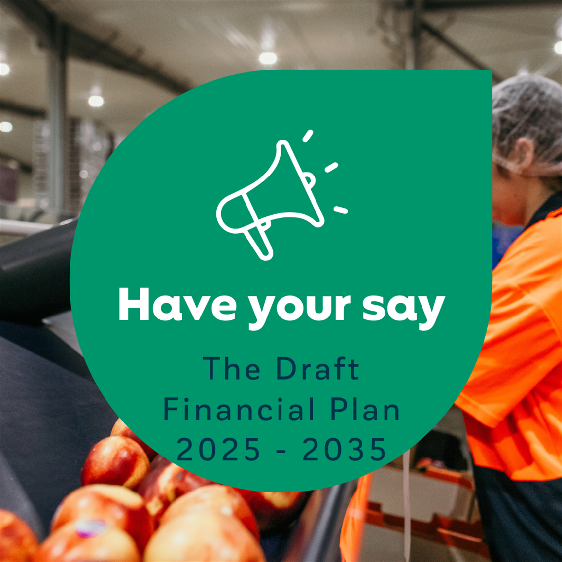 The-Draft-Financial-Plan-2025-2035.png